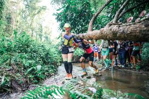 BIB: 
                            <button type="button" onclick="openModal(25471897)" class="btn btn-primary btn-sm float-right btn-popup" data-toggle="modal" data-target=".modal-high-quality">
                        <i class="fas fa-shopping-cart"></i> Add to Cart
                    </button>
                                            <button type="button" onclick="isThisMe(25471897, true)" class="btn btn-success btn-sm float-right btn-popup btn-isme hidden" data-toggle="tooltip" data-placement="bottom" title="นี่คือรูปของคุณใช่ไหม คลิกที่นี่เพื่อเอาเข้าอัลบั้ม">
                        <i class="fas fa-plus"></i> Add to album
                    </button>
                    <button type="button" onclick="isThisMe(25471897, false)" class="btn btn-warning btn-sm float-right btn-popup btn-isnotme hidden">
                        <i class="fas fa-ban"></i> Remove from album
                    </button>